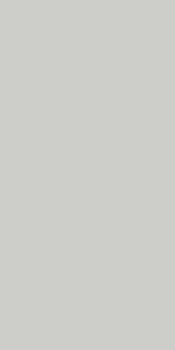 602X MR Silver Grey - Image 2