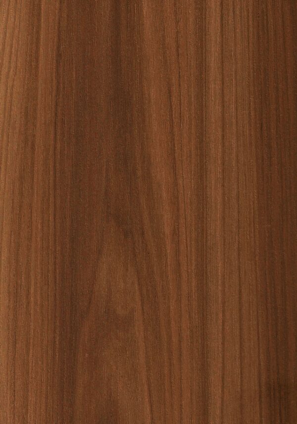 6035 MO California Elm
