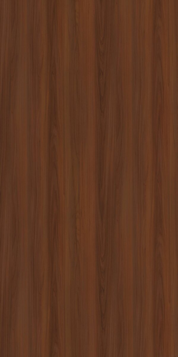 6035 MO California Elm - Image 2