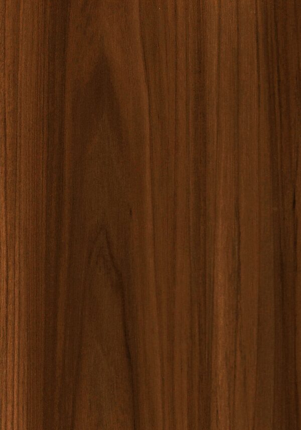 6035 MR California Elm
