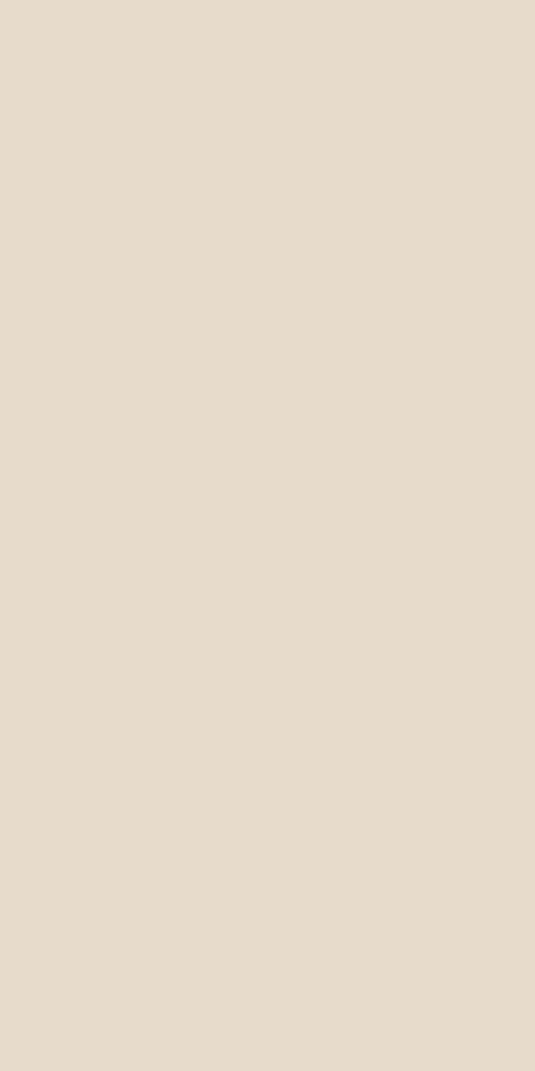 608X SF Cream Beige - Image 2