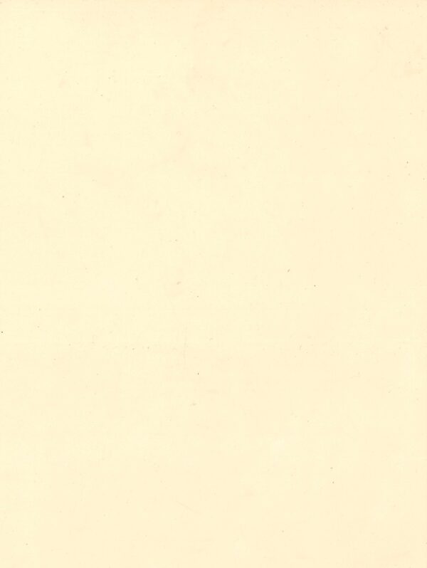 616X Beige