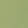 RC 617 Oliv Green - Image 2