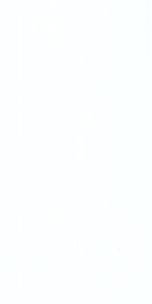 618X White - Image 2