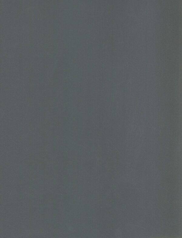621X SF Grey