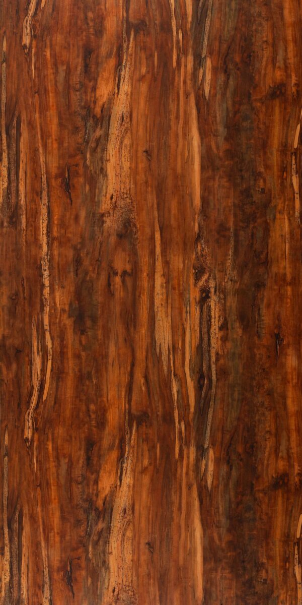641x MR Canyon Apple - Image 2