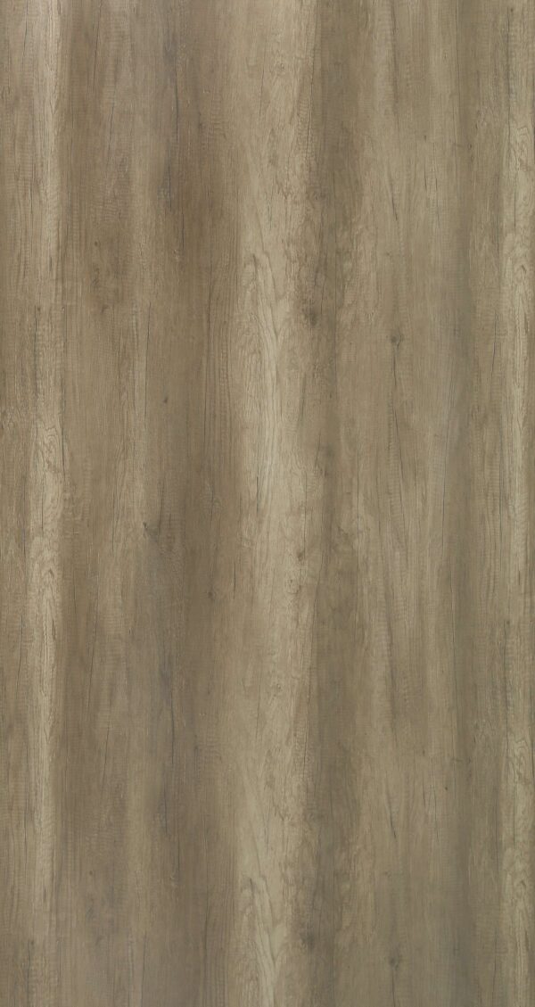 642X SF Canyon Monument Oak - Image 2