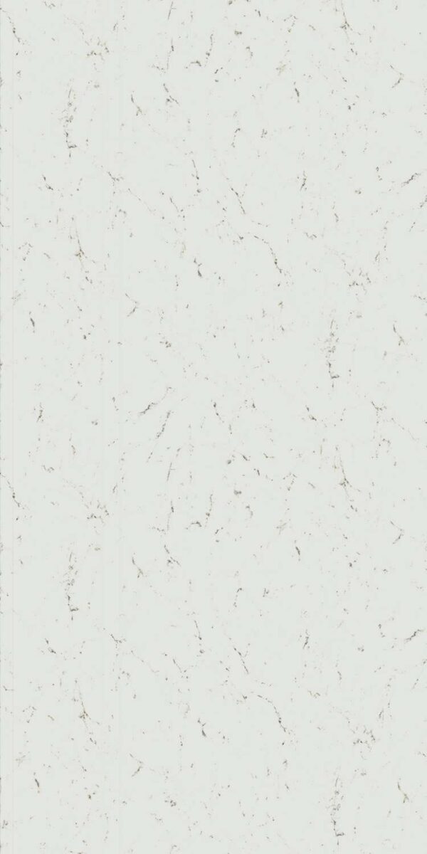 653X CL Seravazza - Image 2