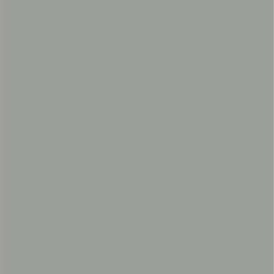 861X SF Gothic Grey