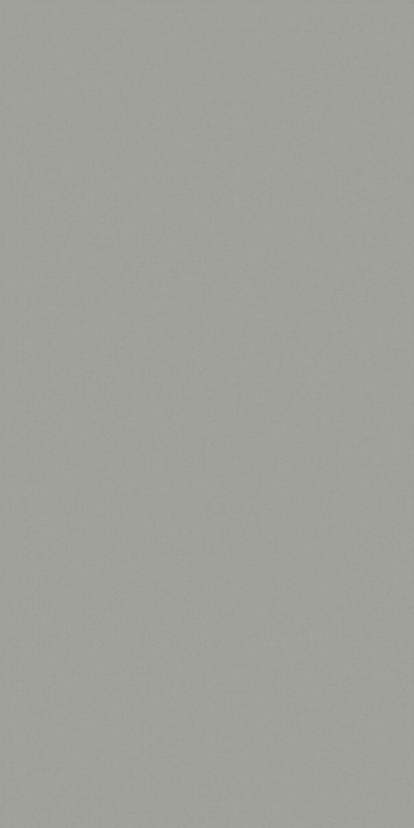 861X SF Gothic Grey - Image 2