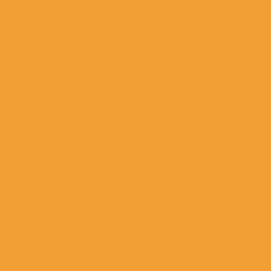 RC 864 Mango
