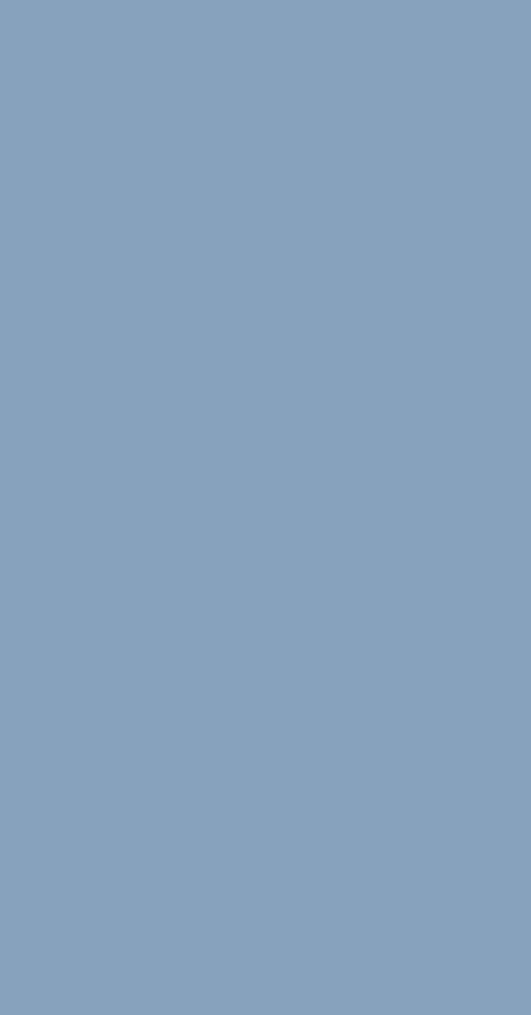 RC 867 Greyish Blue - Image 2