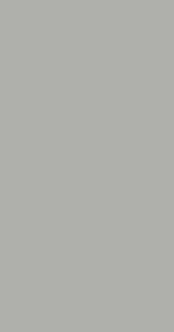 RC 885 Grey - Image 2
