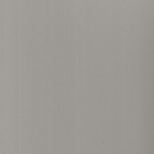 RC 887 Grey
