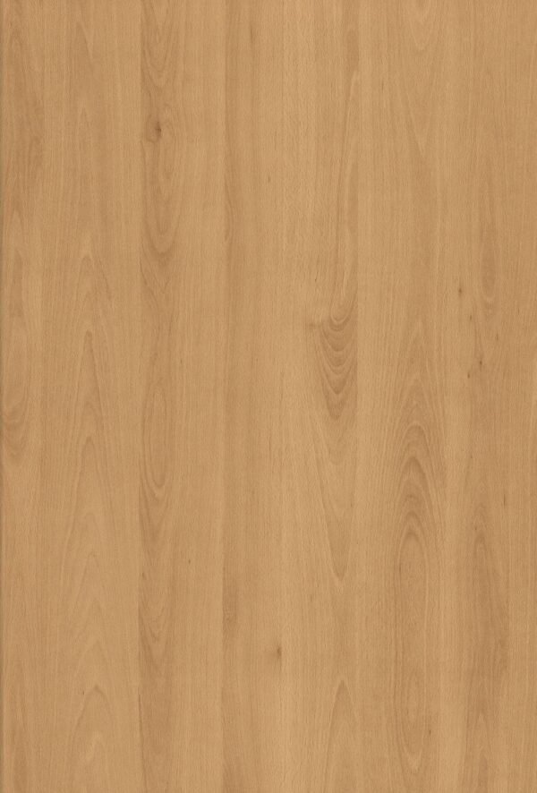 8909 SF Steem Beech