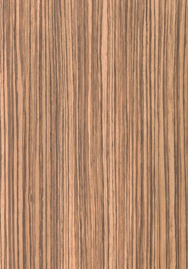 8910 SF Light Zebrano