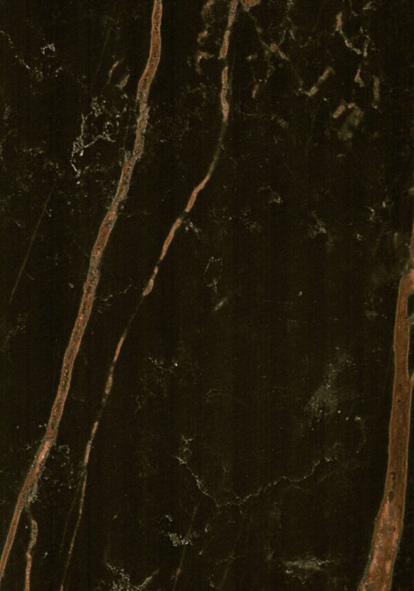 8919 SG Black Marble