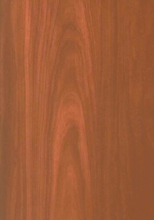 8933 SF Malabar Wood