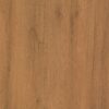 8962 WD Walnut Creak