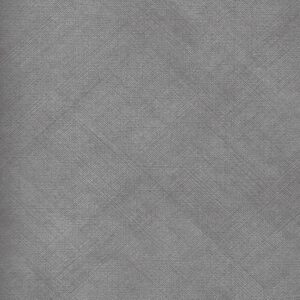 8995 CN Graphic Checks