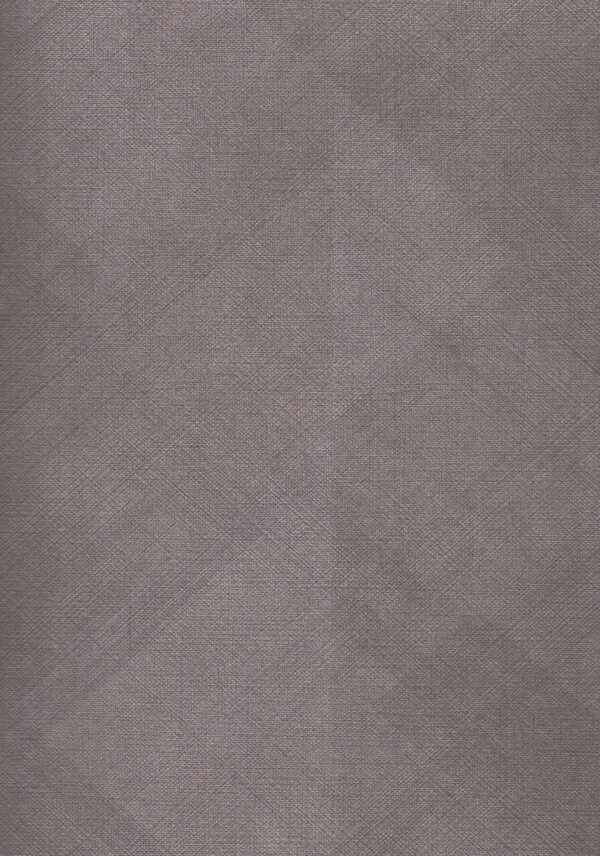 8996 CN Graphic Checks