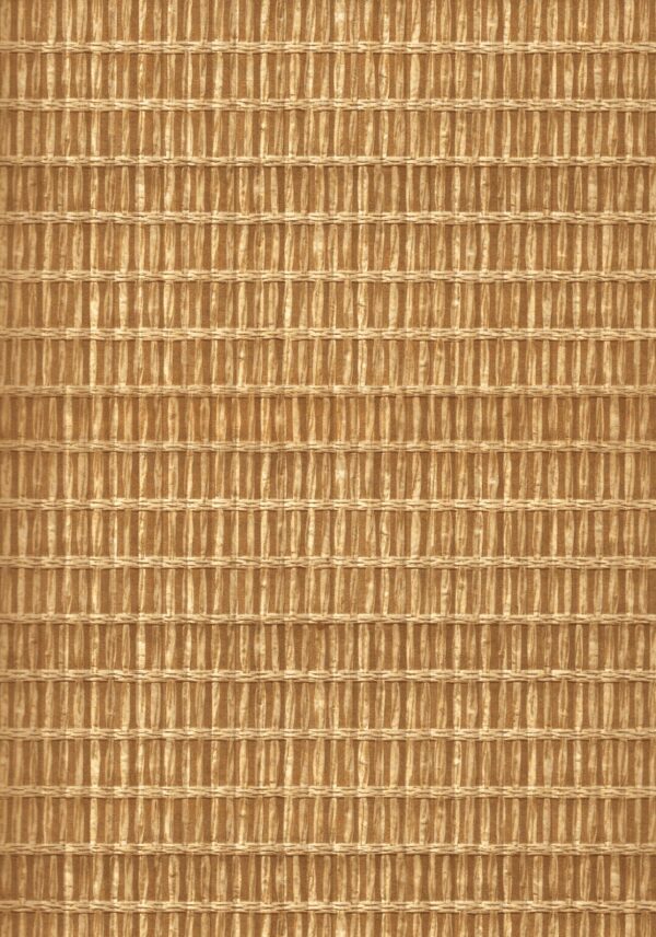 DG 8112 FT Bamboo Strip