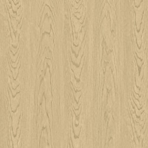 6040 SYNC Olecea Cream