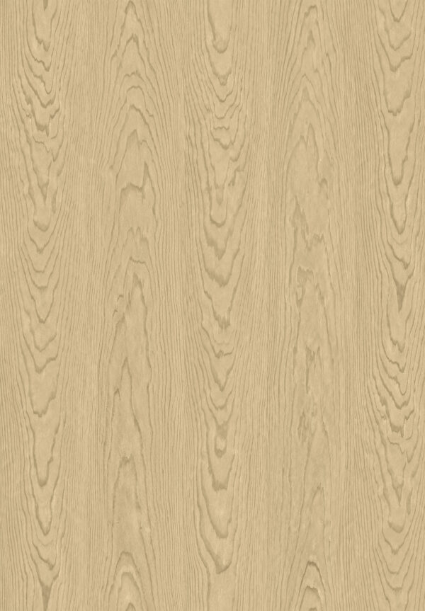 6040 SYNC Olecea Cream