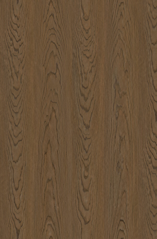 6041 SYNC Olecea Cocoa