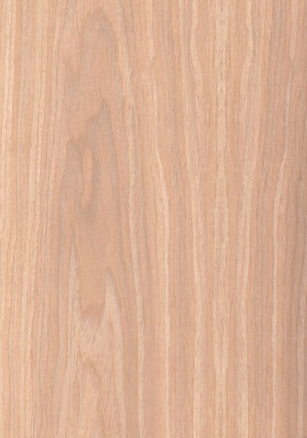 6042 AW Breda Chestnut