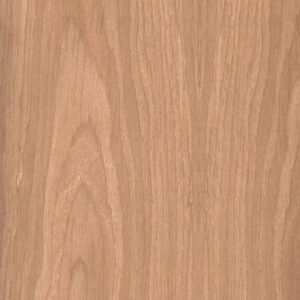 6044 AW Breda Chestnut