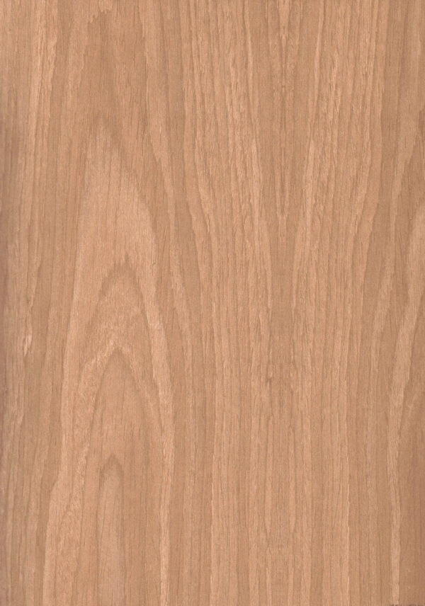 6044 AW Breda Chestnut