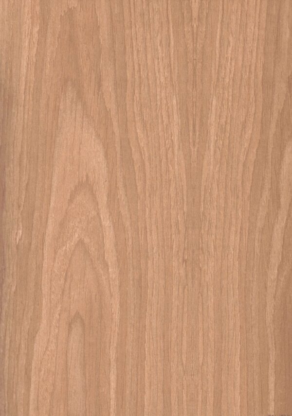 6049 AW Avino Oak