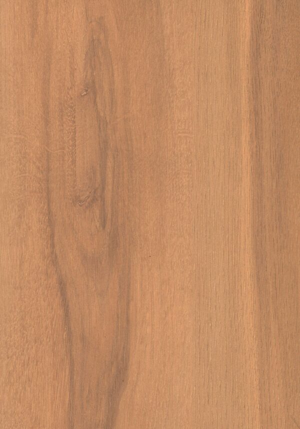 6055 FO Sleek Oak